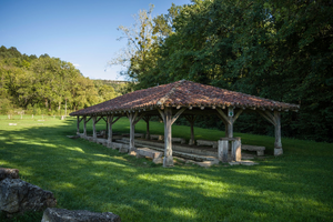 Traitement Punaises de Lit Bourg-la-Reine